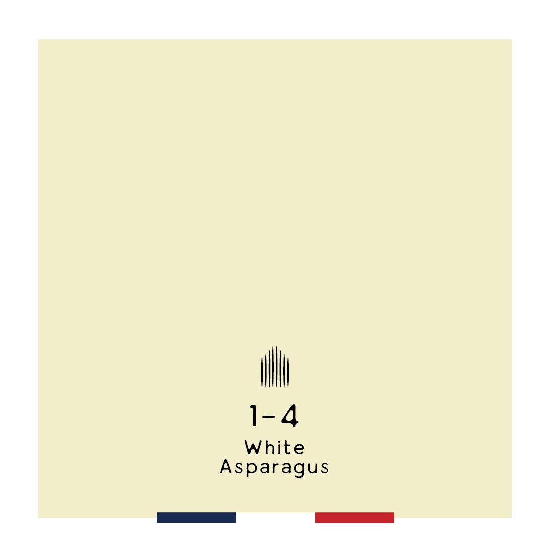 1-4 White Asparagus